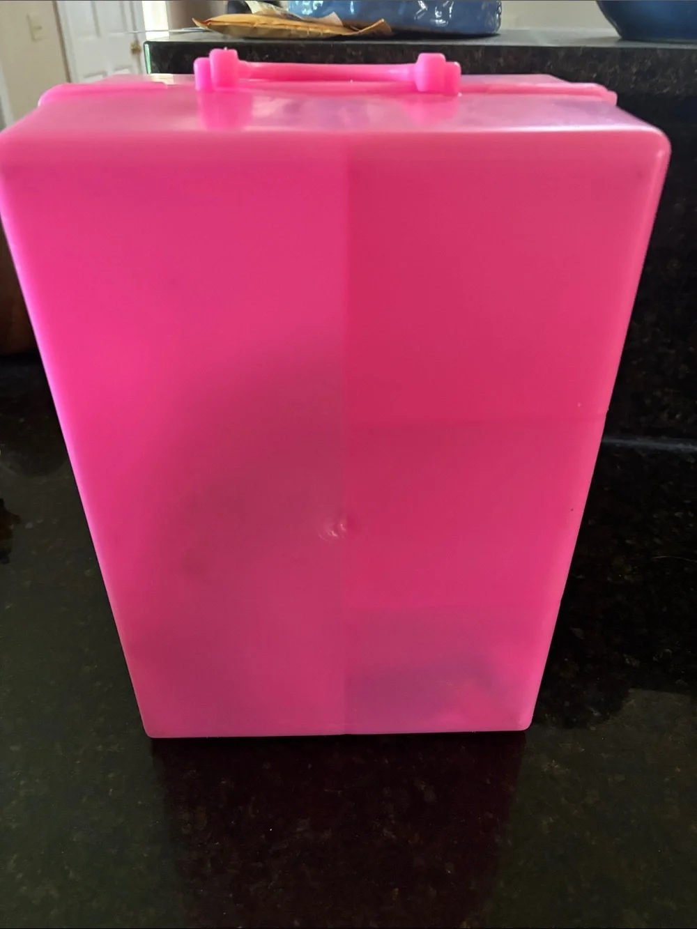 Barbie Pink and Black Doll Case Plus